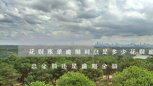 花呗账单逾期利息是多少(花呗逾期利息是按总金额还是逾期金额)