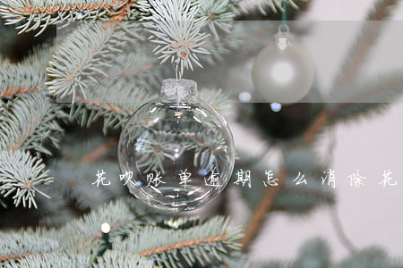 花呗账单逾期怎么消除(花呗如何清除账单)