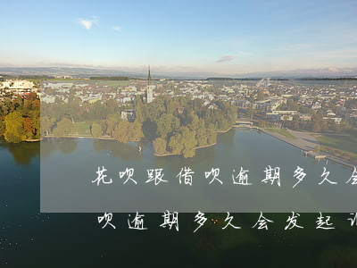 花呗跟借呗逾期多久会被起诉(支付宝借呗花呗逾期多久会发起诉讼)