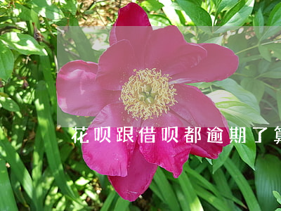花呗跟借呗都逾期了算几个账户-