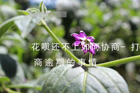 花呗还不上如何协商-打95188转2协商逾期的事情
