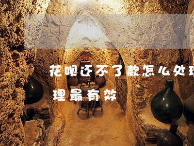 花呗还不了款怎么处理(花呗还不了款怎么处理最有效)