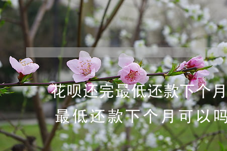 花呗还完最低还款下个月可以吗-花呗还完最低还款下个月可以吗怎么还