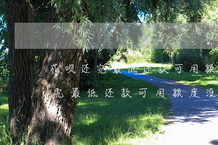花呗还完最低还款可用额度没有了-花呗还完最低还款可用额度没有了怎么回事
