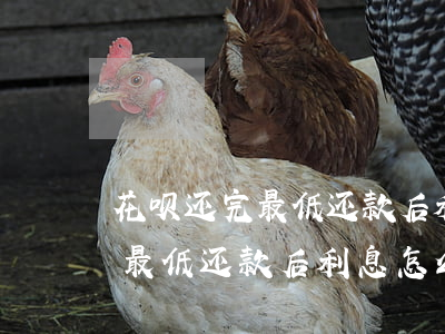 花呗还完最低还款后利息怎么算-花呗还完最低还款后利息怎么算的