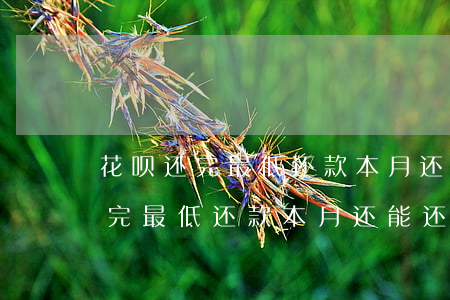 花呗还完最低还款本月还能还款吗-花呗还完最低还款本月还能还款吗