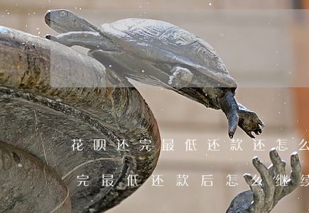 花呗还完最低还款还怎么继续还款-花呗还完最低还款后怎么继续还款