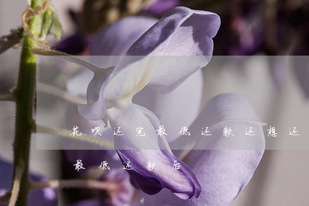 花呗还完最低还款还想还怎么办-花呗还完最低还款后