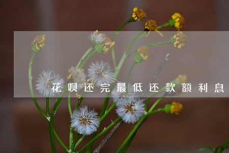 花呗还完最低还款额利息怎么算-