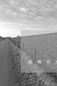 花呗还完逾期后多久能用