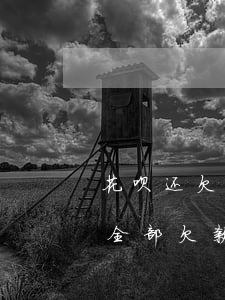 花呗还欠不欠钱怎么查(支付宝花呗怎么查看全部欠款)