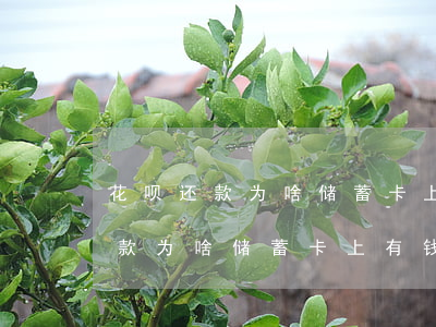 花呗还款为啥储蓄卡上有钱还不了-花呗还款为啥储蓄卡上有钱还不了呢