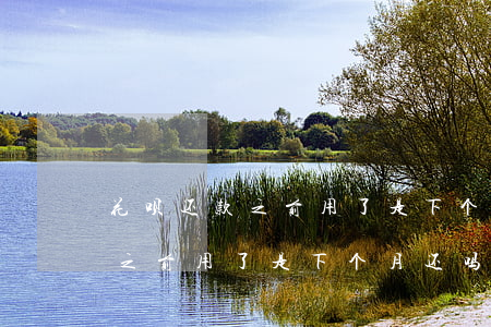 花呗还款之前用了是下个月还吗-花呗还款之前用了是下个月还吗
