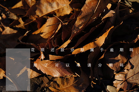 花呗还款分期属于逾期吗(支付宝蚂蚁花呗逾期了可以申请分期吗)