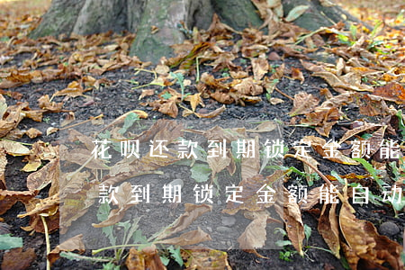 花呗还款到期锁定金额能自动还吗-花呗还款到期锁定金额能自动还吗怎么办
