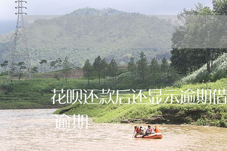 花呗还款后还显示逾期(借呗还了之后还显示逾期)