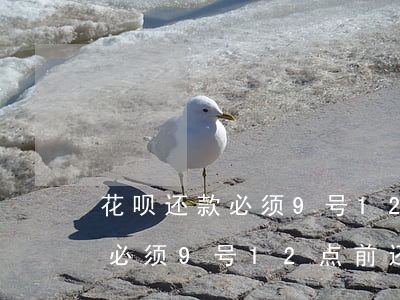 花呗还款必须9号12点前还吗-花呗还款必须9号12点前还吗为什么