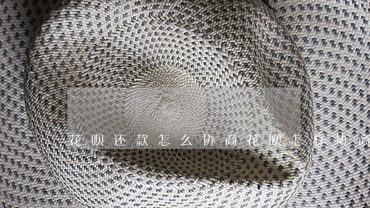 花呗还款怎么协商（花呗怎样协商只还本金）