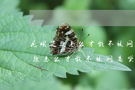 花呗还款怎么才能不被网商贷扣除-花呗还款怎么才能不被网商贷扣除呢