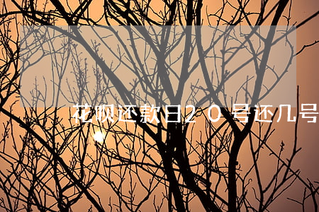 花呗还款日20号还几号到几号-