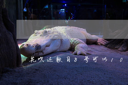 花呗还款日8号可以10号还吗-