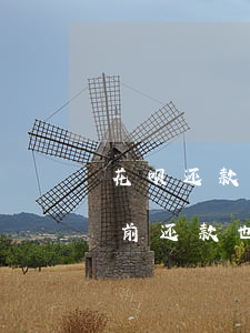花呗还款日一天最多可以提前还-花呗可提前还款也是按天数吗