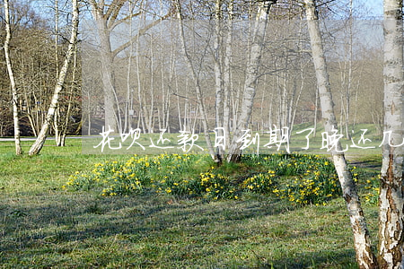 花呗还款日到期了晚还几天可以-