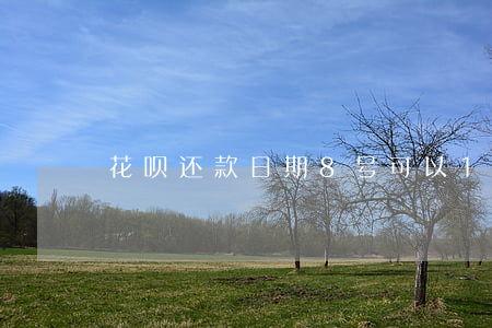 花呗还款日期8号可以10还么-