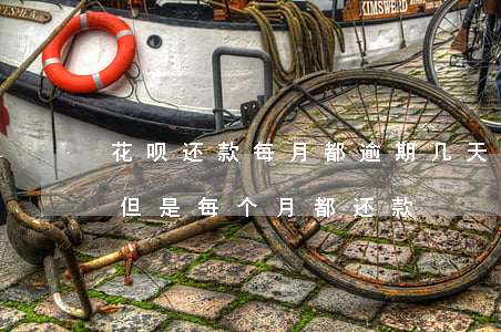 花呗还款每月都逾期几天(花呗每个月都逾期 但是每个月都还款)