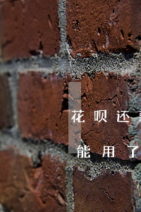 花呗还款没有逾期被封(花呗逾期后来还了,不能用了,多久会解封)