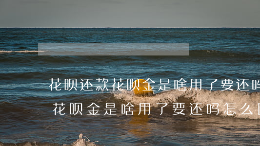 花呗还款花呗金是啥用了要还吗-花呗还款花呗金是啥用了要还吗怎么回事