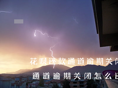 花呗还款通道逾期关闭怎么还款-花呗还款通道逾期关闭怎么还款啊