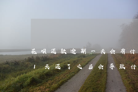 花呗还款逾期一天会有什么影响-花呗逾期1天还了之后会导致什么样的影响