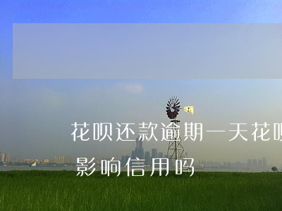 花呗还款 逾期一天(花呗逾期1天还了之后会影响信用吗)