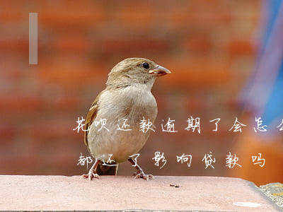 花呗还款逾期了会怎么样(花呗有过逾期,但是都还了,影响贷款吗)