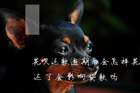 花呗还款逾期后会怎样(花呗逾期了几天,现在还了,会影响贷款吗)