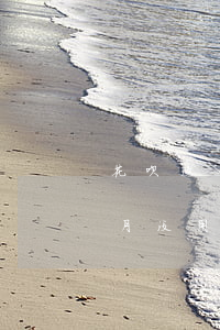 花呗这个月没用怎么还显示还款-花呗这个月没用怎么还显示还款了