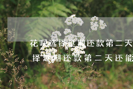 花呗选择延期还款第二天还能还吗-花呗选择延期还款第二天还能还吗