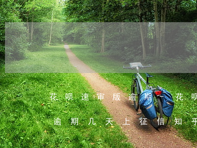 花呗速审版逾期-花呗逾期多久上征信?花呗逾期几天上征信知乎