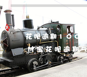 花呗逾期10000多久会起诉会坐牢吗(支付宝花呗逾期5000会起诉吗?会不会坐牢)