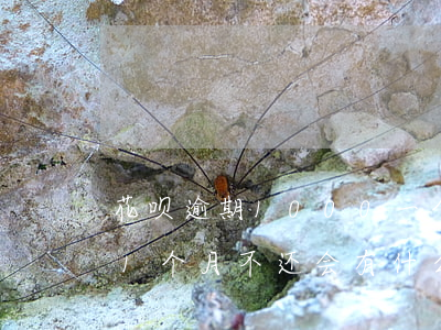 花呗逾期1000一个月(花呗2000逾期1个月不还会有什么后果)