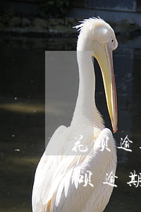 花呗逾期1000被起诉立案会坐牢吗-花呗逾期1000被起诉立案会坐牢吗知乎