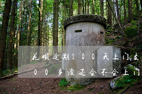花呗逾期100天上门(支付宝花呗逾期1000多没还会不会上门)