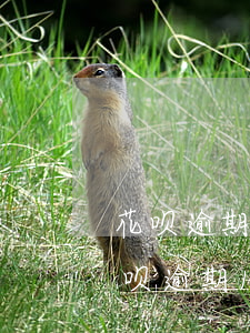 花呗逾期10个月了说要走流程怎么搞?-花呗逾期10个月后还清了多久能恢复使用资格