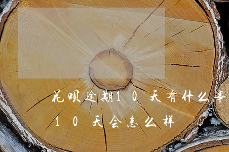 花呗逾期10天有什么事(花呗不还或者逾期10天会怎么样)