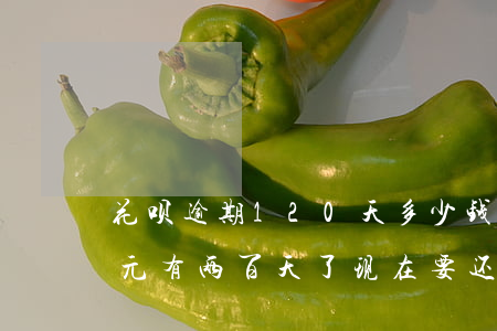 花呗逾期120天多少钱(花呗逾期5000元有两百天了现在要还多少)