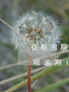 花呗逾期130多天账户冻结了怎么办-花呗逾期130多天账户冻结了怎么办呢