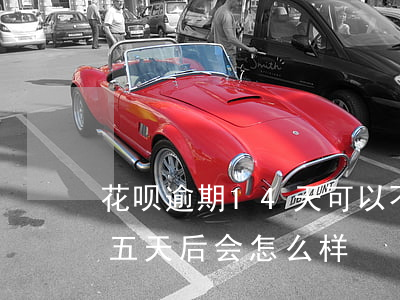 花呗逾期14天可以不(花呗分期后逾期是十五天后会怎么样?)