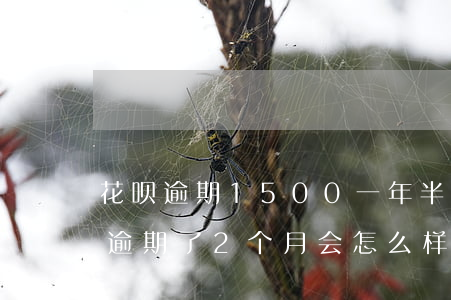 花呗逾期1500一年半(花呗有2000元逾期了2个月会怎么样)
