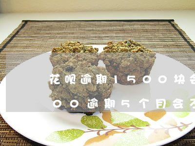 花呗逾期1500块会被起诉吗 花呗欠2000逾期5个月会不会被起诉